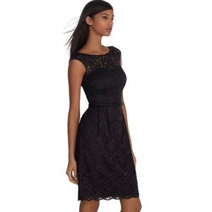 White House Black Market Tulip Lace Dress size 16